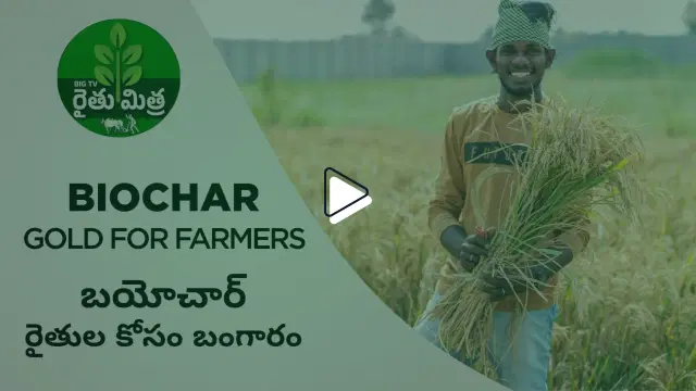 Biochar Gold for Farmers