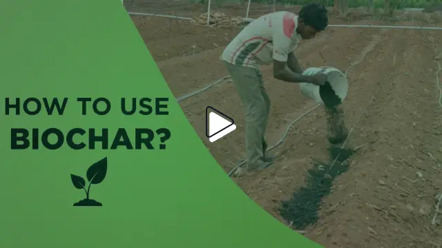 How to Use Biochar