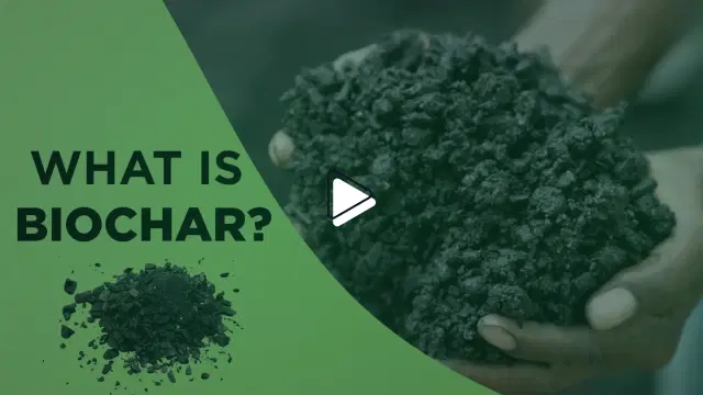 What is Biochar
